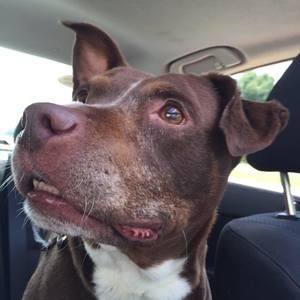 Meet your Posher, Rickey